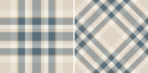 textile texture plaid of seamless fabric pattern vector image
