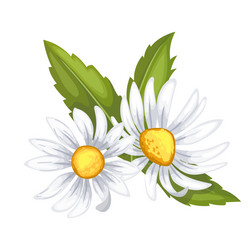 Daisy Flower Cartoon Vector Images (over 9,300) Daisy Flower Cartoon Vector Images (over 9,300)