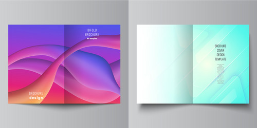 layout two a4 format modern cover vector image