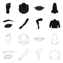 isolated object body and part sign collection vector image