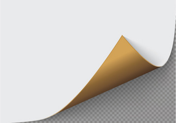 page curl with shadow on a blank sheet of paper vector image