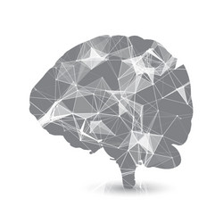 abstract background with low poly design on brain vector image