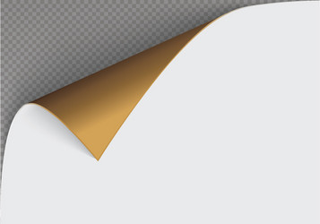 page curl with shadow on a blank sheet of paper vector image