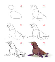 how to draw a cute sea lion educational page vector