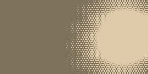 geometric abstract hexagon two color background vector image