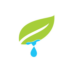 Leaves logo template Royalty Free Vector Image