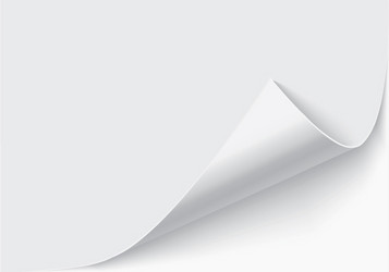 page curl with shadow on a blank sheet of paper vector image