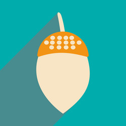 flat with shadow icon and mobile application acorn vector image