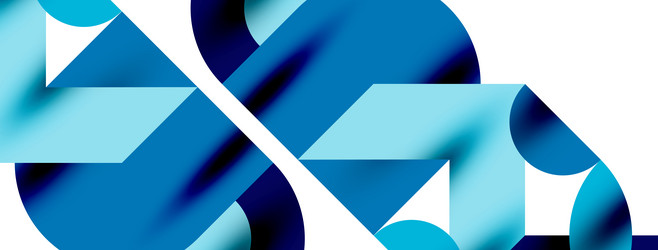 circle pattern round elements with lines vector image