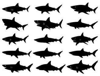 sharks silhouette Vector Image