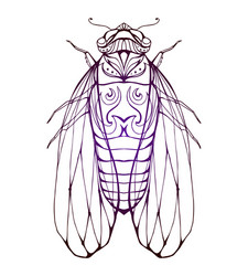 cicada with boho pattern element for color vector