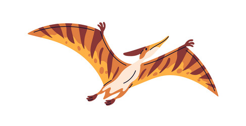 Pterodactyl flying dinosaur pterodactylus vector