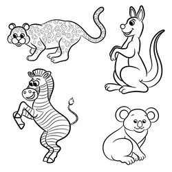 Animals set zebra leopard koala kangaroo black vector