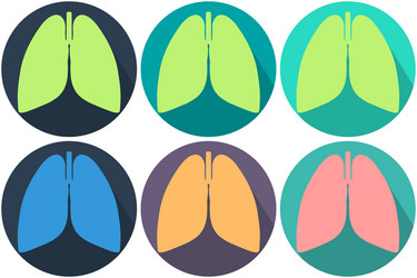 set anatomically correct lungs different vector image