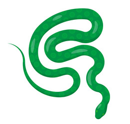 Slither green python snake top view icon vector