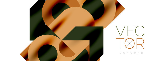 circle pattern round elements with lines vector image