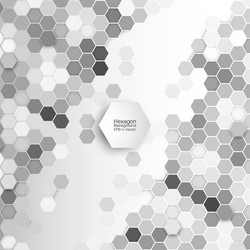 Hexagonal Abstract Geometric Pattern vector image