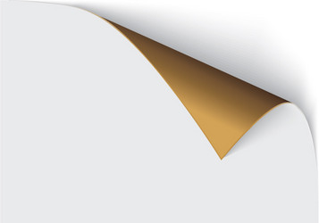 page curl with shadow on a blank sheet of paper vector image