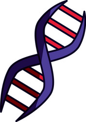 Dna human genetic Royalty Free Vector Image - VectorStock