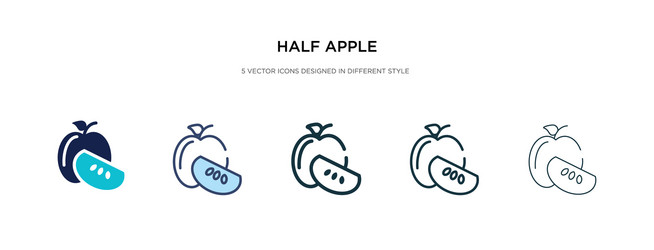 Half apple icon in different style two colored vector