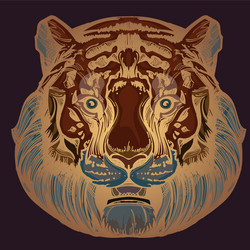 Muzzle of a tiger for creating sketches vector