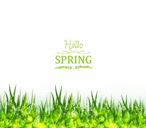 hello spring background with grass vector image