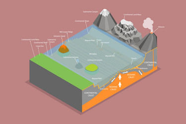 3d isometric flat of structure vector image