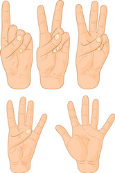 numbers vector image