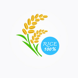 Premium rice great quality design concept vector