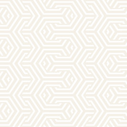 Interlaced Line Hexagon Pattern vector image