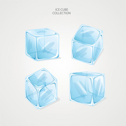 ice cube collection with flat design vector image