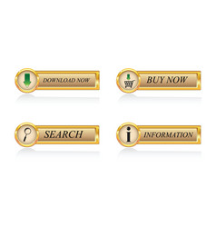 Metal gold button Royalty Free Vector Image - VectorStock