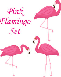 pink flamingo set of objects isolated on white vector image