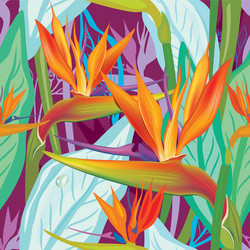 Strelitzia Bloom Seamless Pattern vector image