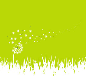 spring with dandelion background vector image