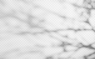 abstract shadow overlay from tree branch vector image