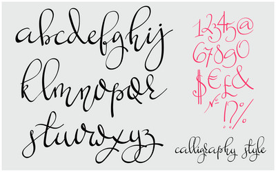 Elegant Pointed Pen Script vector image