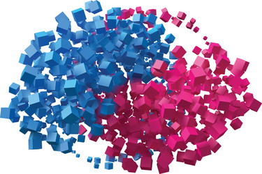 ying-yang symbol with random cubes vector image