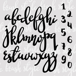 Elegant Brush Script Font - Calligraphy Style vector image