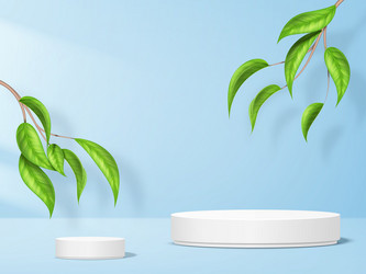 Product Background Vector Art Icons and Graphics for Free Download