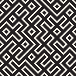 irregular maze line lattice abstract geometric vector image