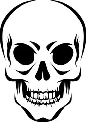 stylized human skull Vector Image