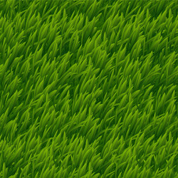 Green grass seamless pattern 1 Royalty Free Vector Image