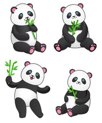 Set of four pandas with bamboo vector