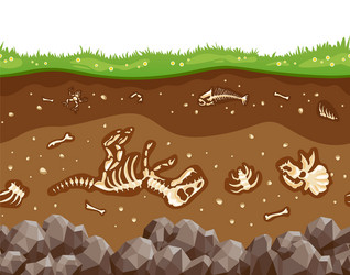 Soil Layers with Fossil Bones vector image