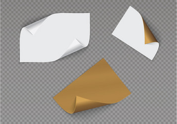 page curl with shadow on a blank sheet of paper vector image