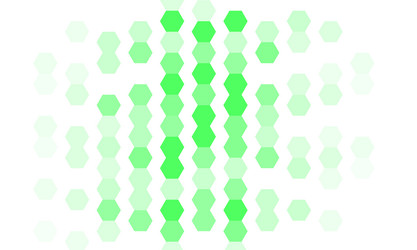 light green pattern with colorful hexagons vector image