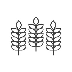 Three spikelets icon a simple linear image vector