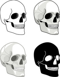 Drawn Skull - Halloween Sketch Vector Image