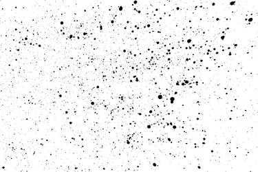 Ink Splatters and Blobs vector image